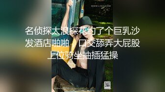 名侦探太浪探花约了个巨乳沙发酒店啪啪，口交舔弄大屁股上位骑坐抽插猛操