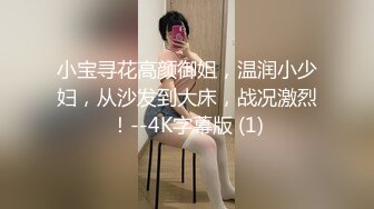 小宝寻花高颜御姐，温润小少妇，从沙发到大床，战况激烈！--4K字幕版 (1)