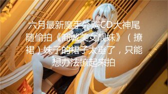 六月最新魔手外购CD大神尾随偷拍《商城美女靓妹》（撩裙）妹子的裙子太垂了，只能想办法撩起来拍