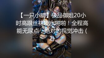 【一只小晴】极品御姐20小时高跟丝袜喷水啪啪！全程高能无尿点，绝对的视觉冲击 (2)