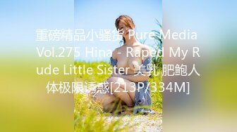 重磅精品小骚货 Pure Media Vol.275 Hina - Raped My Rude Little Sister 美乳 肥鲍人体极限诱惑[213P/334M]