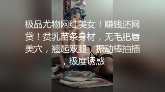 极品尤物网红美女！赚钱还网贷！贫乳苗条身材，无毛肥唇美穴，翘起双腿，振动棒抽插，极度诱惑