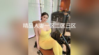 精品人妻一区二区三区