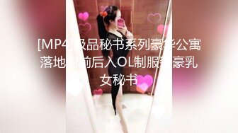 [MP4]极品秘书系列豪华公寓落地窗前后入OL制服装豪乳女秘书