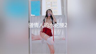 骚情人的水蛇腰2