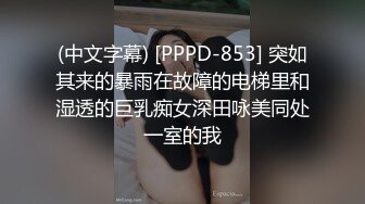 (中文字幕) [PPPD-853] 突如其来的暴雨在故障的电梯里和湿透的巨乳痴女深田咏美同处一室的我