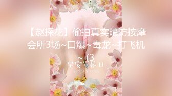 【赵探花】偷拍真实暗访按摩会所3场~口爆~毒龙~打飞机~ (3