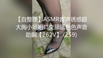 【自整理】ASMR音声诱惑超大胸小姐姐口交舔舐色色声音助眠【262V】 (259)