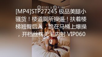 [MP4]STP27245 极品美腿小骚货！楼道厕所操逼！扶着楼梯翘臀后入，跪在马桶上爆操，开档丝袜无毛内射 VIP0600