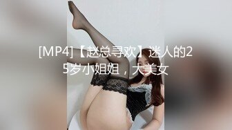 [MP4]【赵总寻欢】迷人的25岁小姐姐，大美女