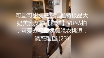 可盐可甜女菩萨，推特极品大奶美乳女神【糕糕】VIP私拍，可爱双马尾裸舞脱衣挑逗，诱惑难挡 (23)