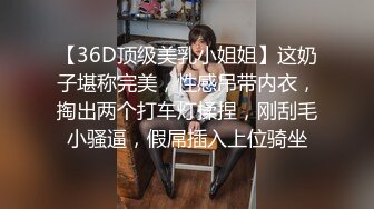 【36D顶级美乳小姐姐】这奶子堪称完美，性感吊带内衣，掏出两个打车灯揉捏，刚刮毛小骚逼，假屌插入上位骑坐