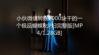 小伙微信转账2000块干的一个极品蝴蝶B少妇完整版[MP4/1.28GB]