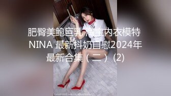 肥臀美鲍巨乳 淘宝内衣模特 NINA 最新抖奶自慰2024年最新合集（二） (2)