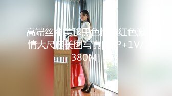 高端丝袜美腿黑色情趣红色激情大尺度美图写真[96P+1V/380M]